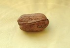 ECHTE Walnuss mit "Inschrift Allah´s/ REAL walnut with the "inscriptions Al