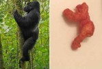 Gorilla Hot Cheetos - RARE - One of a Kind Cheetos - Harambe Gorilla