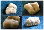 Glücksstein: Zwei Zehen vom linken Fuß der kleinen Meerjungfrau