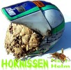 Hornissen Nest Moto Cross Helm crazy Helmet hornets' nest Laden Deko Shop Techno