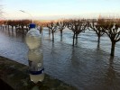 1,5l frisches Hochwasser von der Bonner Rheinpromenade