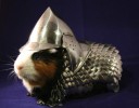 Hand-made Guinea Pig Scale-Mail and Helmet (Armor)