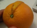Punk-O-Range Punk Orange Punkorange Irokesen Orange