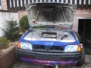 Fiesta Auto-Grill