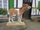 Ausgestopftes Pony, Minipferd, Miniaturhorse, Fohlen, Tierprperat