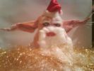 Das exklusive Weihnachtshhnchen