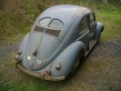 VW Brezelkfer Export, Split Window Bj. 51