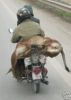Fleischwolf MADO MEW 603 D >Top < hnl. Kolbe, Bizerba