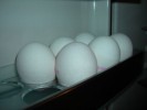 Dioxin-freie Eier
