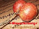 Wunschzweig GOLD +300 Gramm frisch gepflückte Bio Äpfel