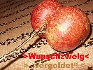 Wunschzweig GOLD +300 Gramm frisch gepflckte Bio pfel