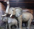 Elefant mit Baby Lebensgro