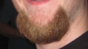 Bart Ziegenbart Kinnbart mehrere Monate gewachsen!!! einmalig sehr selten