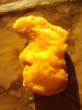 Elvis McNugget