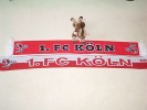 Vom Rotzverein dem 1. FC Köln: Fanschal (2 Stück) plus Maskottchen Hennes