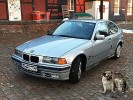 Unser Freund ALVIN,  ein BMW 316i e36,  dreht vollkommen durch!  Bitte hilf ihm!