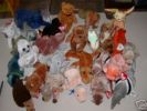 Collection of 26 Beanie Babies from Ex-Wife