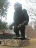 Hydraulischer Riesen King Kong