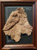 Giant Bran Flake (framed)