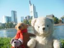 Teddy Reise nach Frankfurt